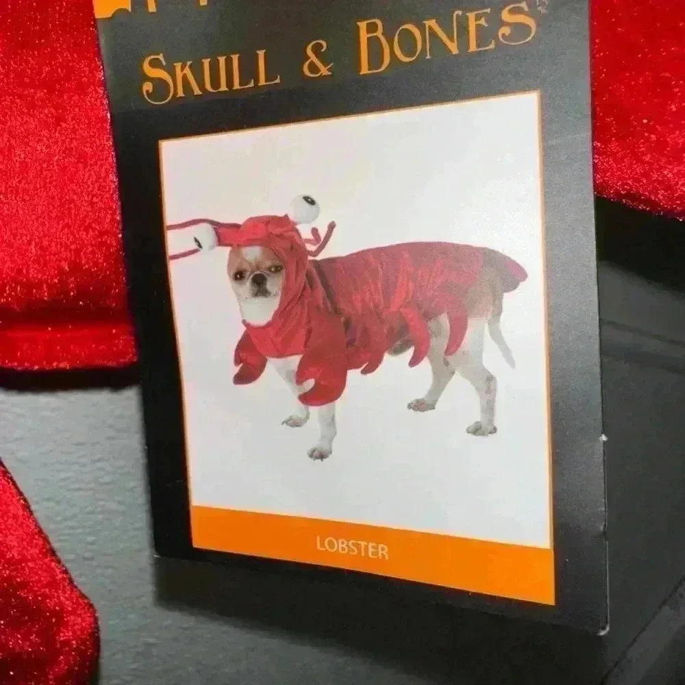 Skull & Bones this new